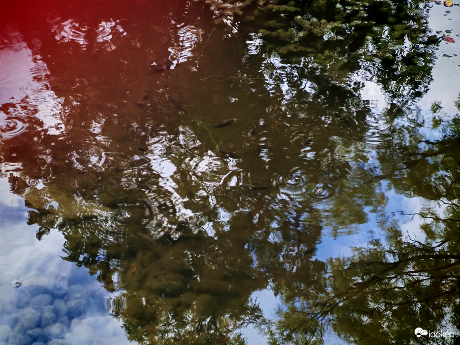 Visszatükröződés. 