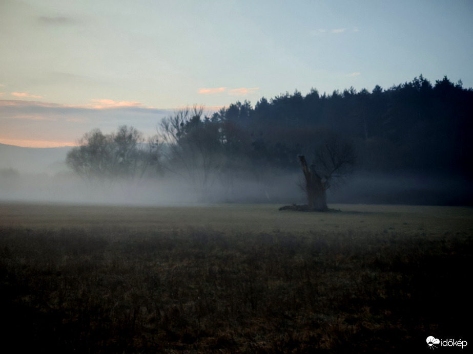 Magányosan a ködben. 