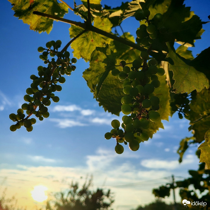 Akkor hogy is van ez??? 