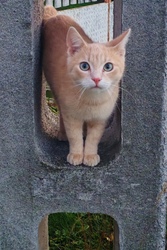 Engem minden érdekel. 