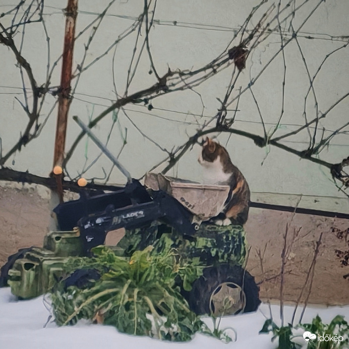 Jönnek a tavaszi munkák..? 