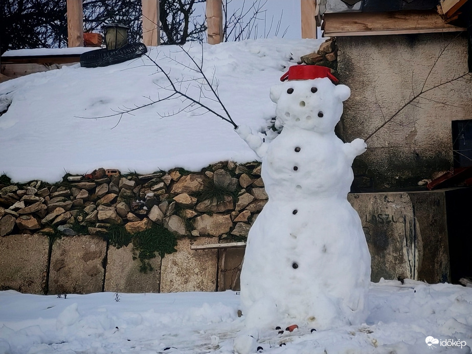 Szőlőhegyi hóember. 