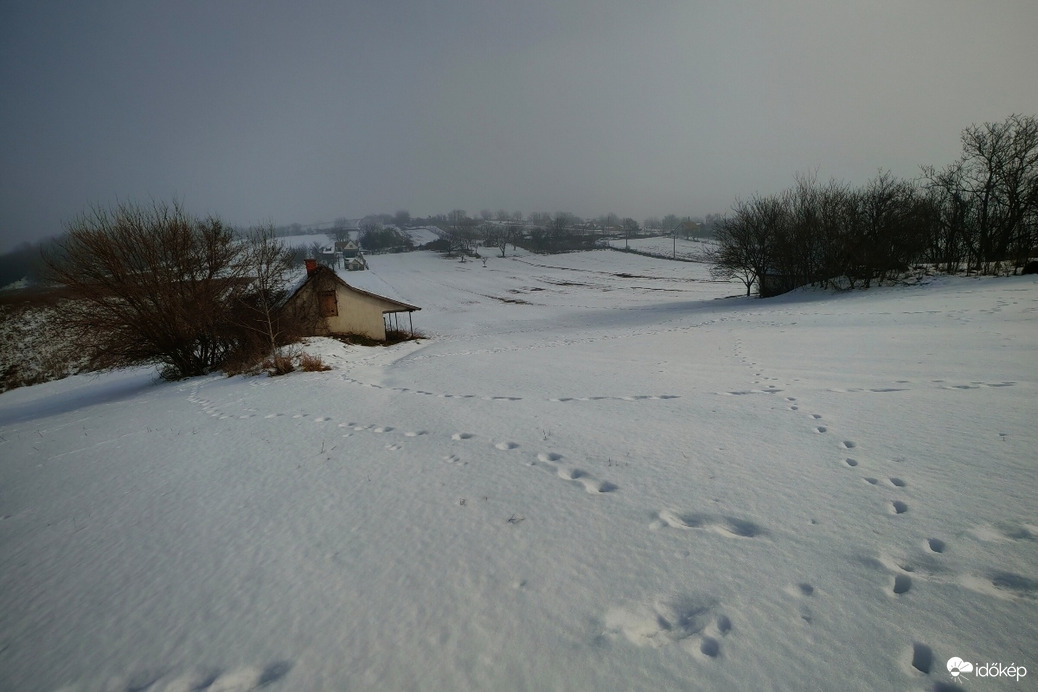 Nyomok a hóban. 