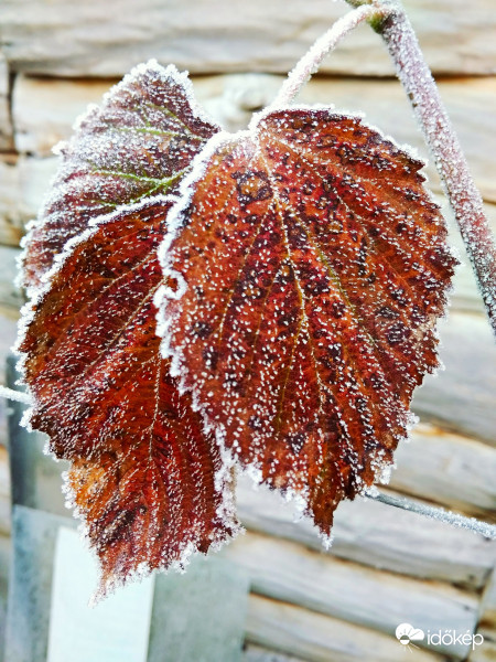 A természet szépségei 