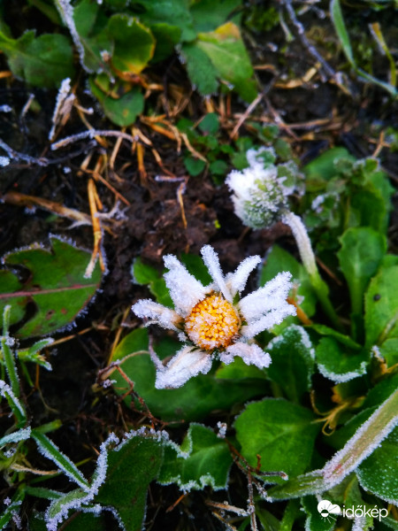 A természet szépségei 