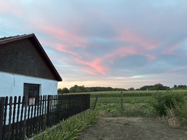 Álmosd