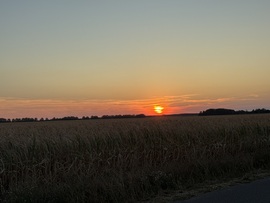Álmosd