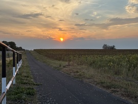 Álmosd
