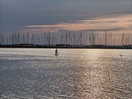 Balatonfenyves