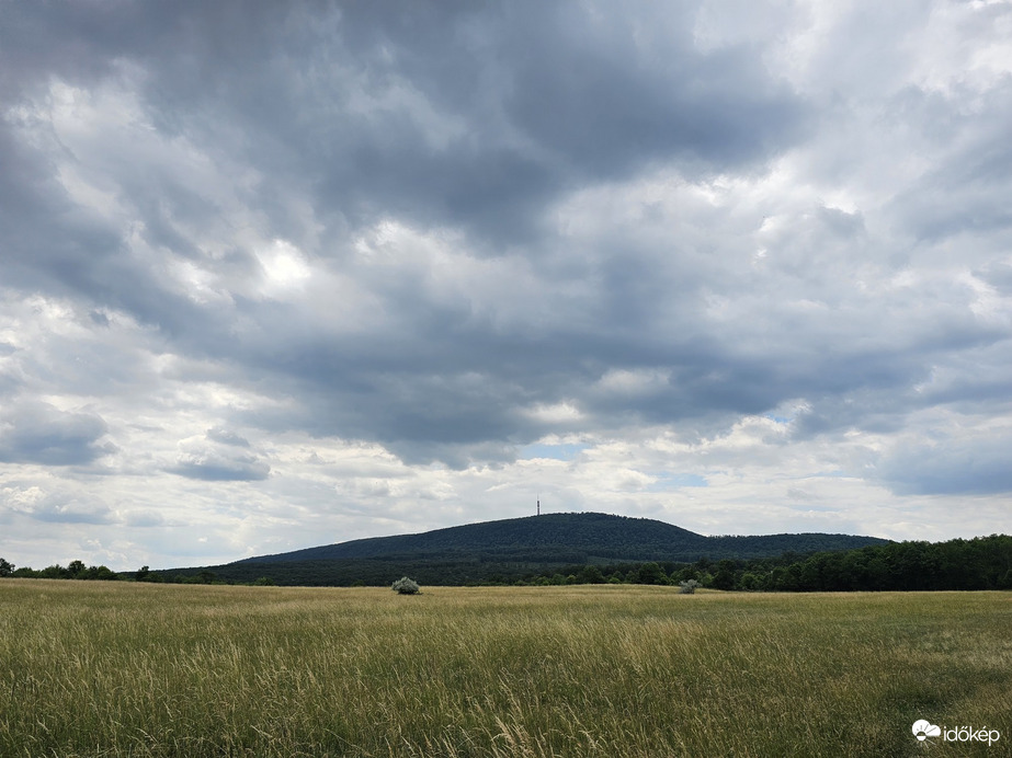 Héreg
