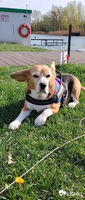 Budapest XXI.ker - Csepel