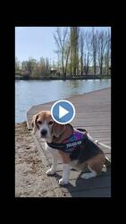 Budapest XXI.ker - Csepel