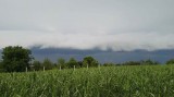 Orosháza