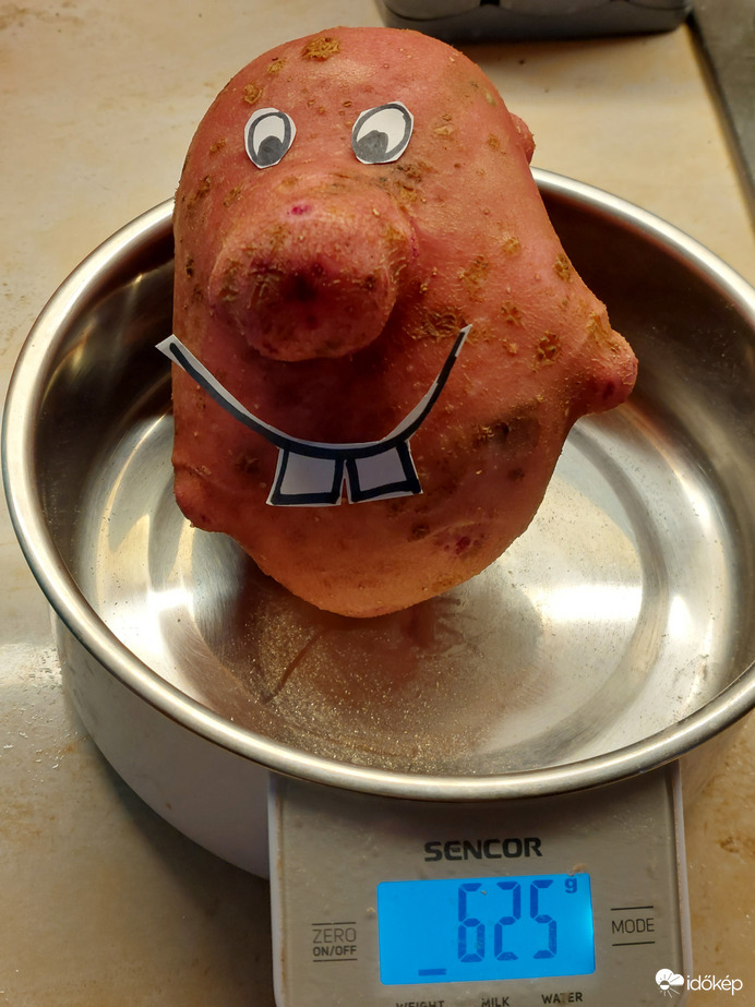 Balatoni Rózsám fia :)