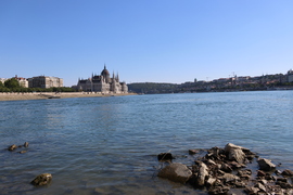 Apadó Duna