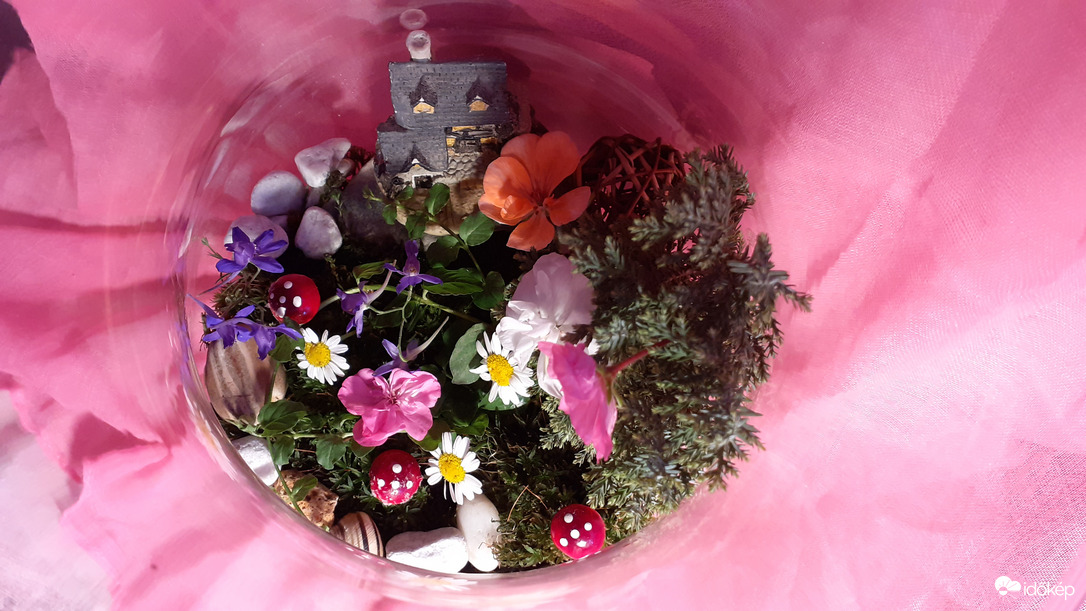 Minikert madártávlatból 