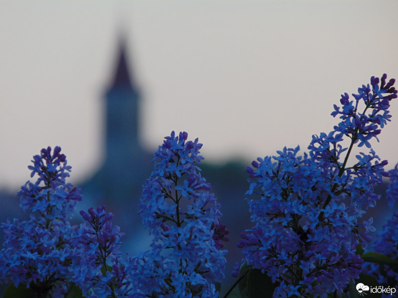 Veszprém