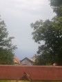 Nyírtét