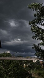 Apagy