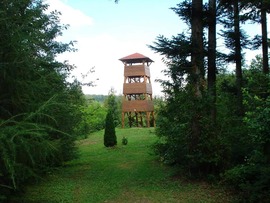 Budafapusztai arborétum