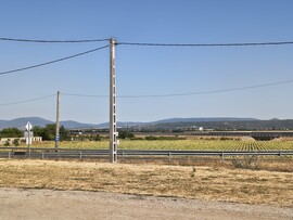 Forró
