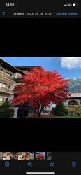 Bad Hofgastein