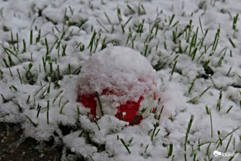 Kint felejtett labda