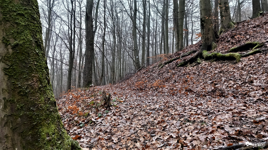  Zsilibes-forrás ,Ódor vár alatt 