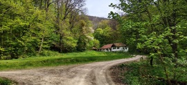 Samasa
