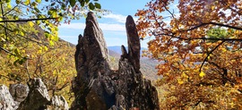 Felsőtárkány