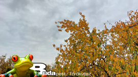 Budapest II.ker - Törökvész