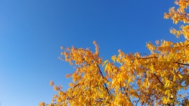 Budapest II.ker - Törökvész