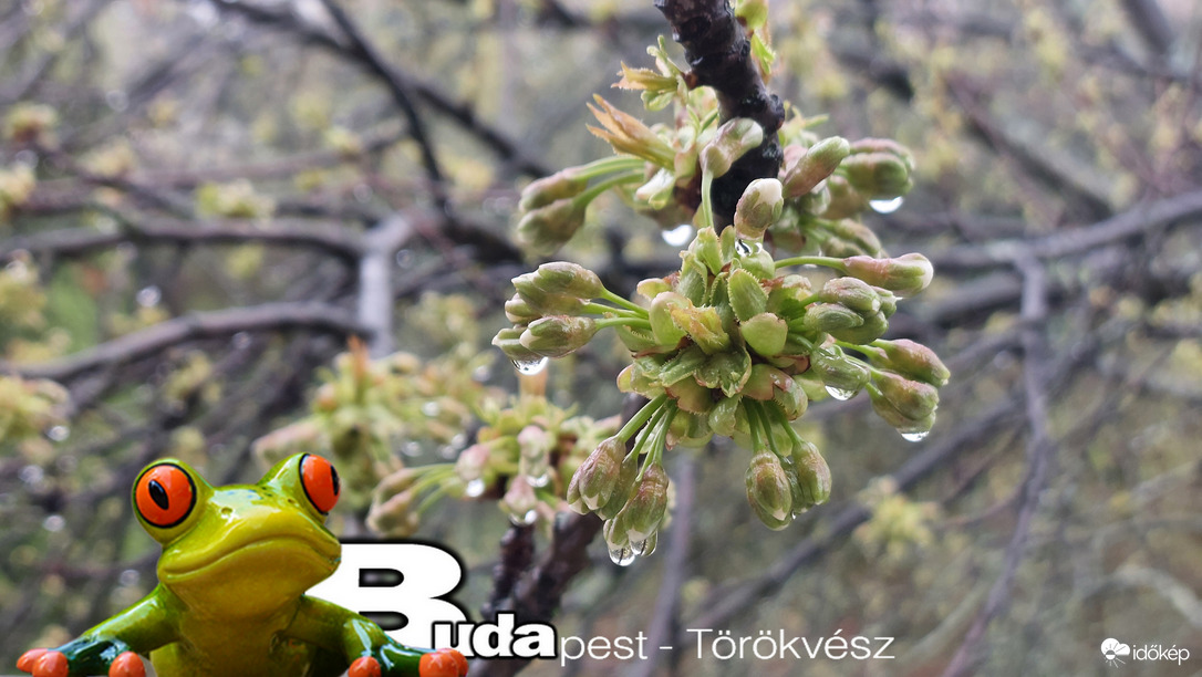 Budapest II.ker - Törökvész