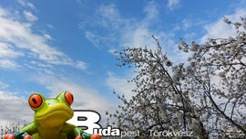 Budapest II.ker - Törökvész