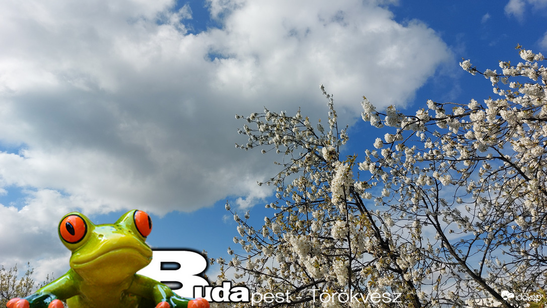 Budapest II.ker - Törökvész