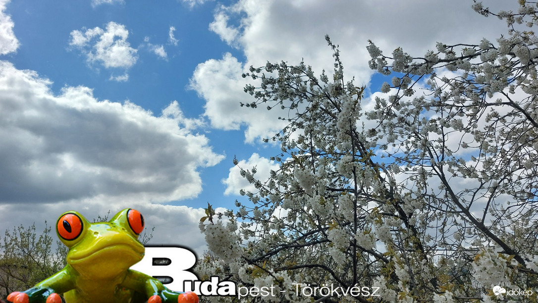 Budapest II.ker - Törökvész