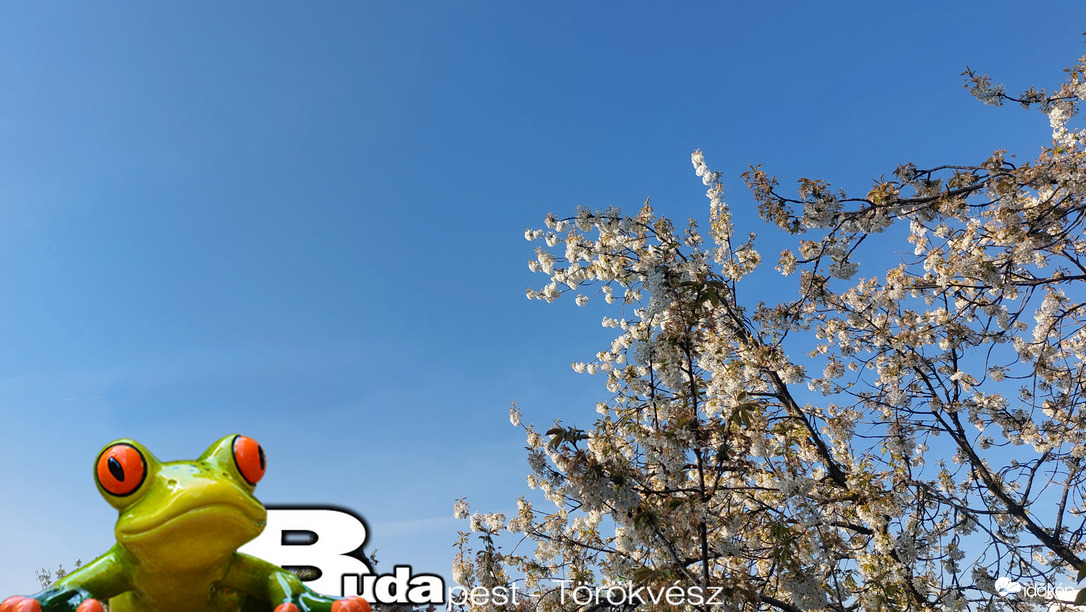 Budapest II.ker - Törökvész