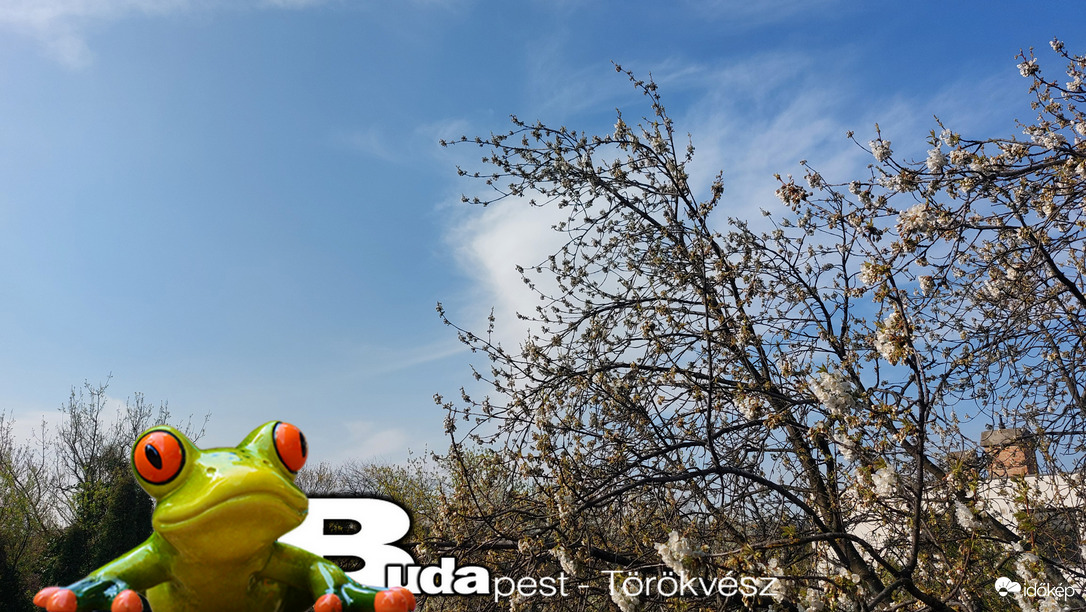 Budapest II.ker - Törökvész