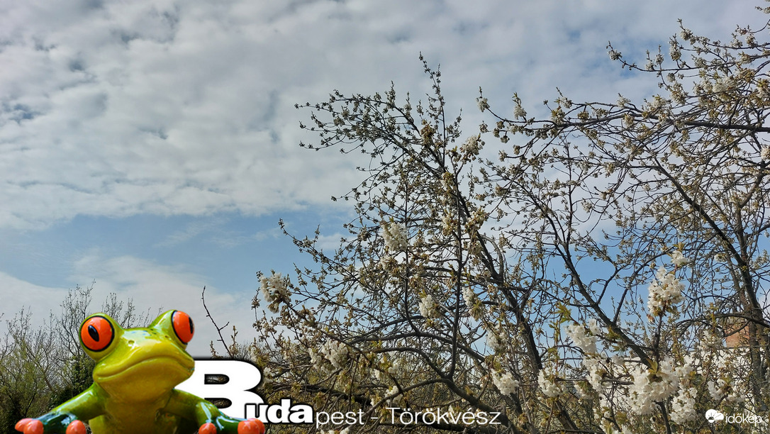 Budapest II.ker - Törökvész