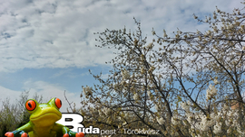 Budapest II.ker - Törökvész