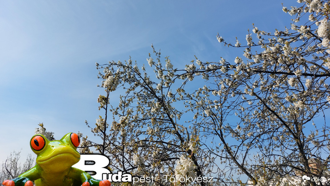 Budapest II.ker - Törökvész