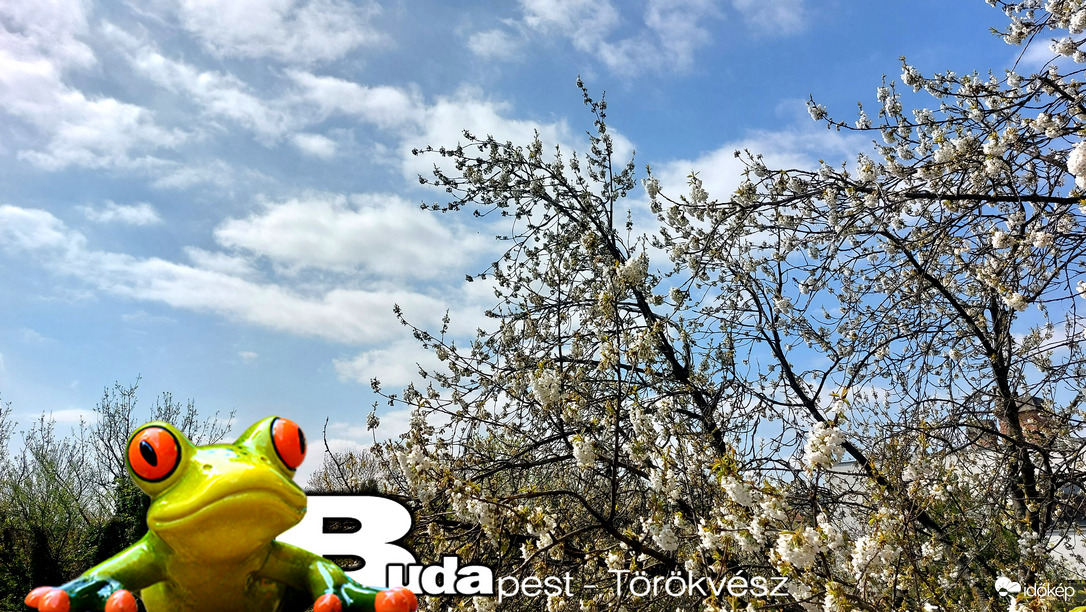 Budapest II.ker - Törökvész