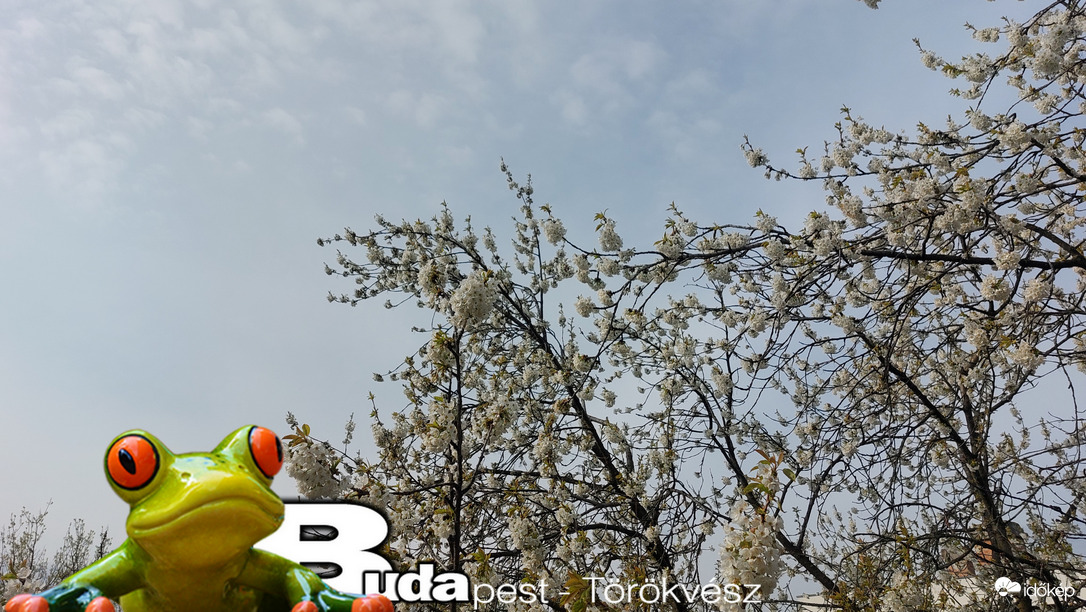 Budapest II.ker - Törökvész