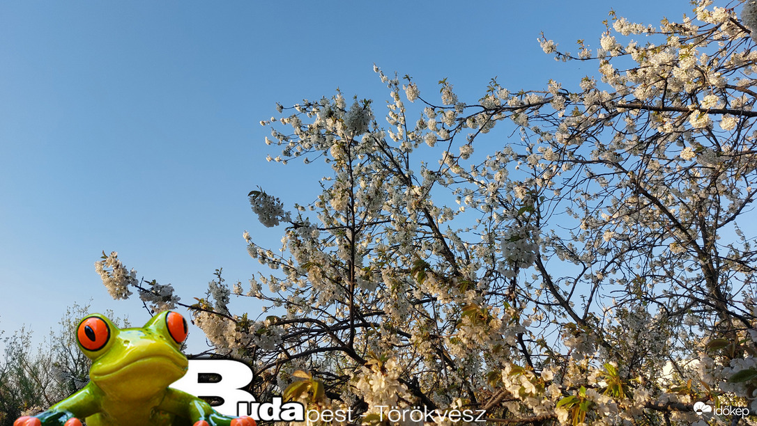 Budapest II.ker - Törökvész