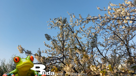 Budapest II.ker - Törökvész