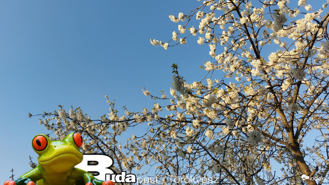 Budapest II.ker - Törökvész