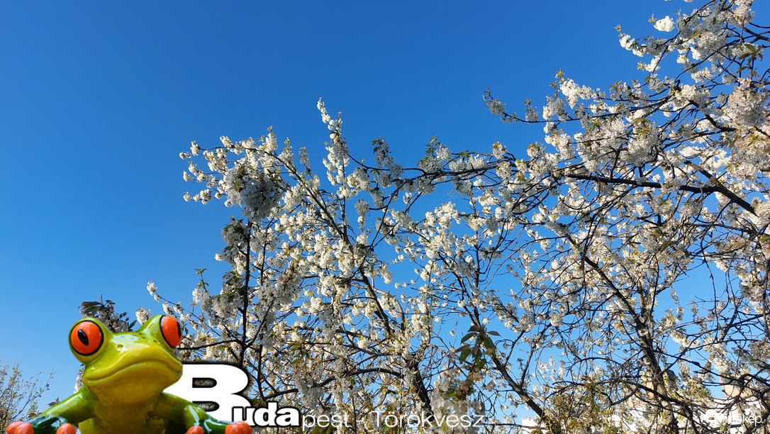 Budapest II.ker - Törökvész