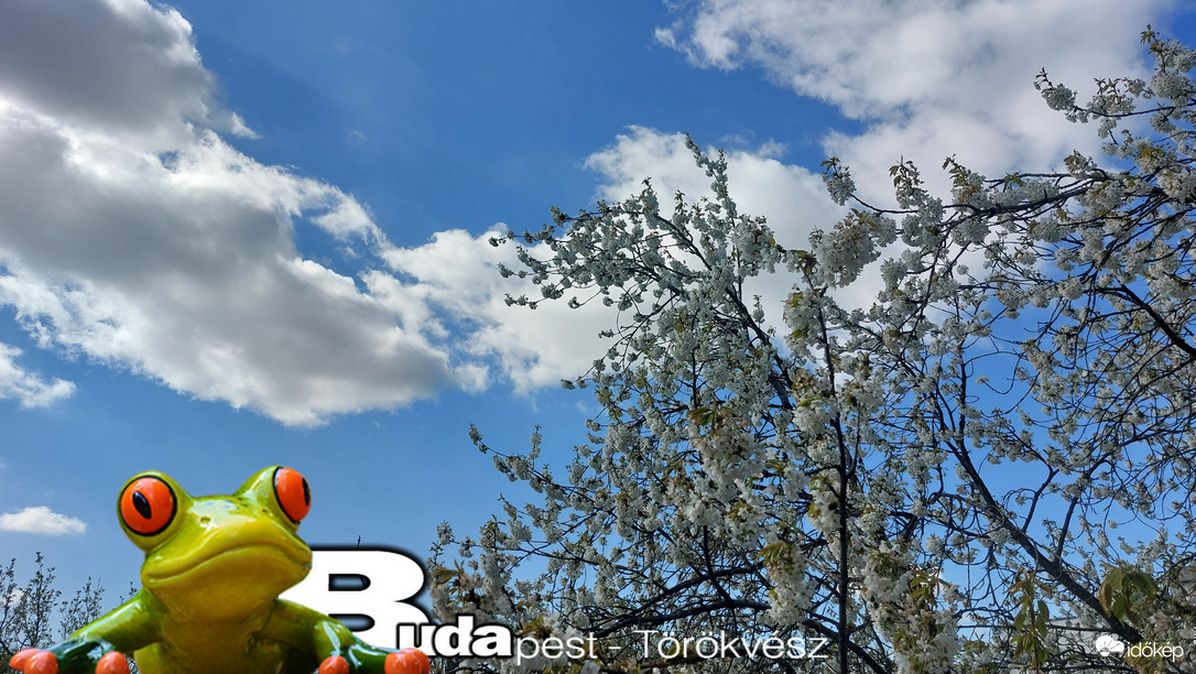 Budapest II.ker - Törökvész