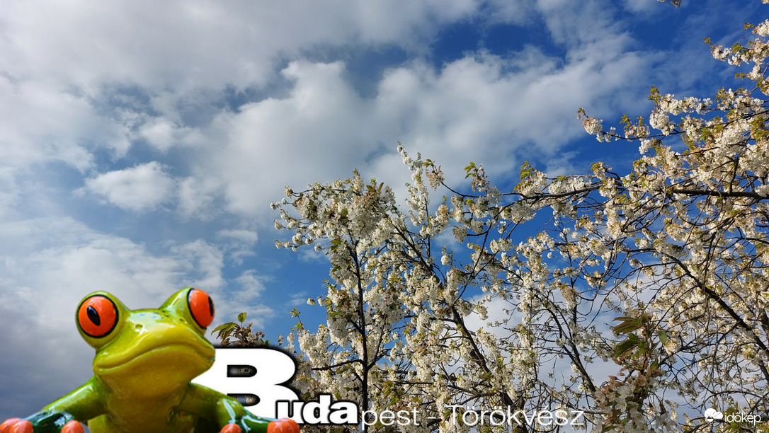 Budapest II.ker - Törökvész