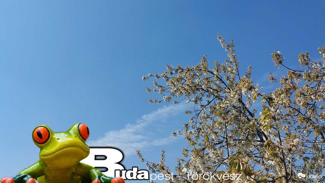 Budapest II.ker - Törökvész